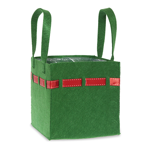 Green Square Felt Bag with Red Trim - Small 7in