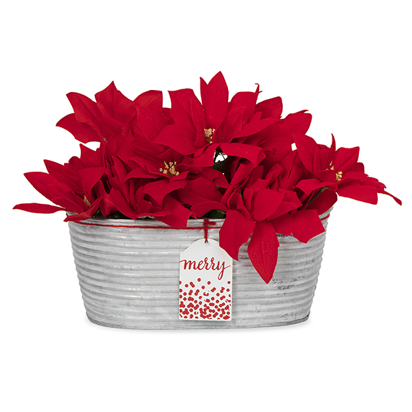 Oblong Galvanized Ridge Container with Holiday Tag - Merry 10in