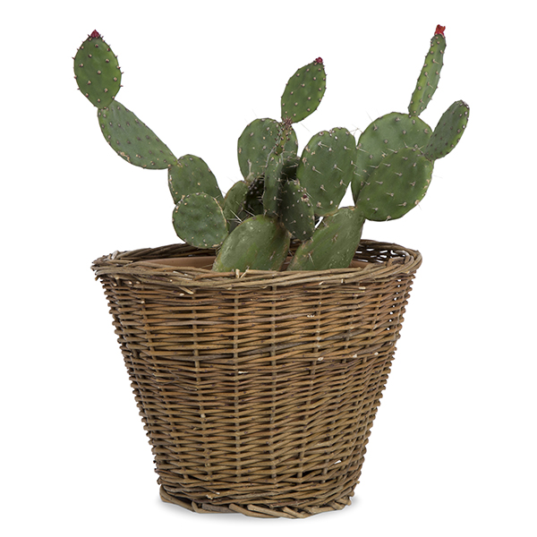 Willow Rustic Planter Basket 9in