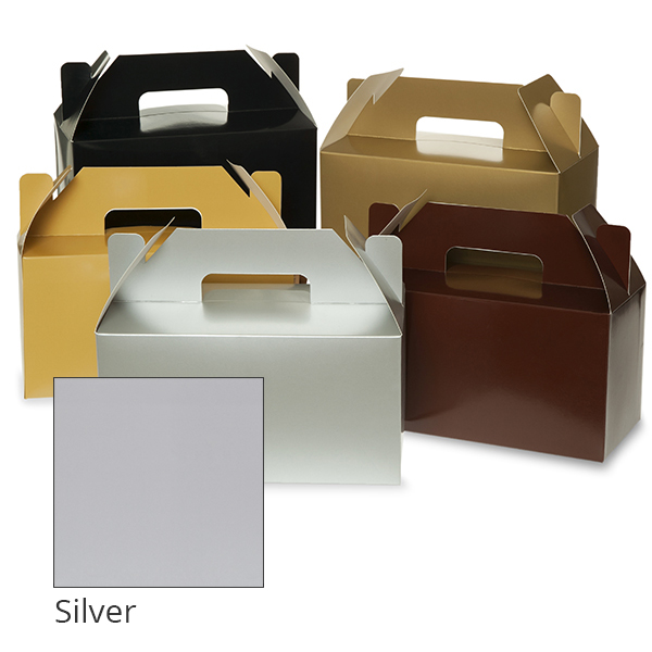 Medium Neutral Gable Box 10in- Silver