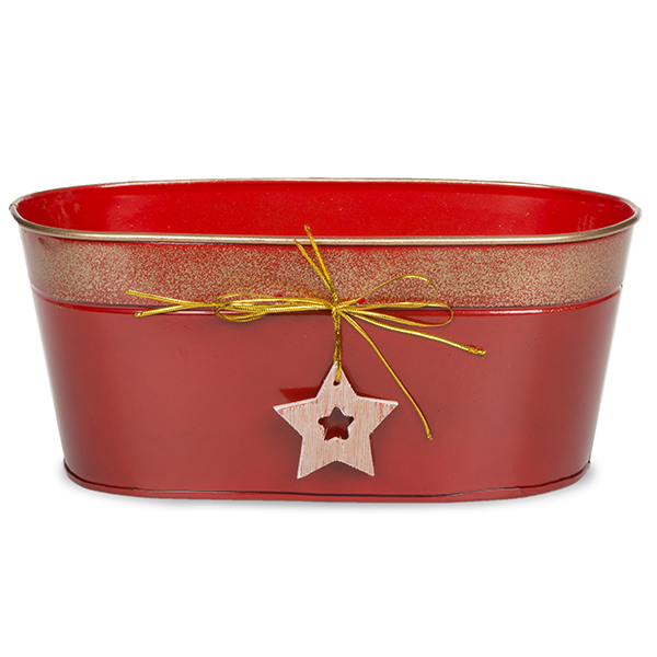 Oblong Holiday Metal with Star Ornament 10in