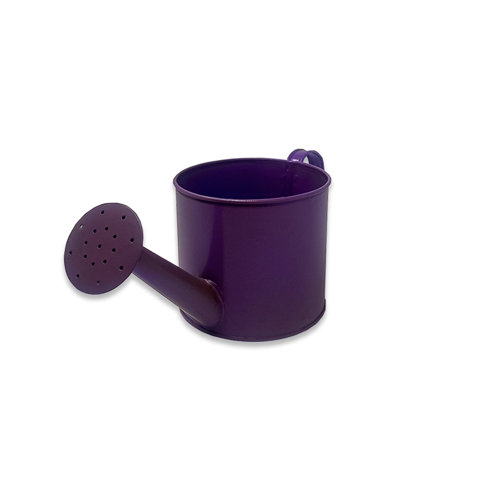 Small Round Watering Can 4in